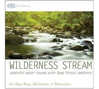 Wilderness Stream: Peaceful Water Sounds with Deep Forest Ambiance (Nature Sounds, Deep Sleep Music, Meditation, Relaxation Rivers & Babbling Brooks)