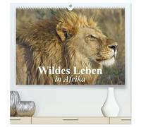 Wildes Leben in Afrika (hochwertiger Premium Wandkalender 2026 DIN A2 quer), Kunstdruck in Hochglanz: Afrikas faszinierende Tiere in freier Wildbahn