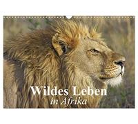 Wildes Leben in Afrika (Wandkalender 2026 DIN A3 quer), CALVENDO Monatskalender: Afrikas faszinierende Tiere in freier Wildbahn