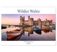 Wildes Wales (Wandkalender 2026 DIN A2 quer), CALVENDO Monatskalender: Reise in eine mystische Landschaft