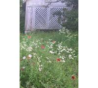 Wildflower Journal: A Notebook for Finding Beauty in Simple Moments