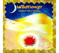 Wildflower - Looking For A Miracle