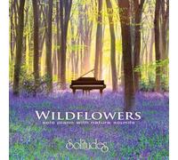 Wildflowers ~ solo piano with nature sounds by Allegro