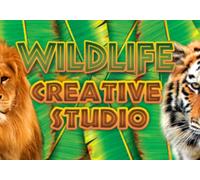 Wildlife Creative Studio (PC) Steam Key - GLOBAL