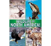 Wildlife of North America [USA] [DVD]