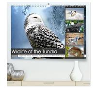 Wildlife of the Tundra (High Quality Premium Wall Calendar 2026 DIN A2 landscape),CALVENDO 12 Month Wall Calendar: Impressive animals in the treeless steppes of the northern hemisphere.