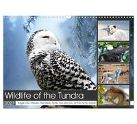 Wildlife of the Tundra (Wall Calendar 2027 DIN A3 landscape), CALVENDO 12 Month