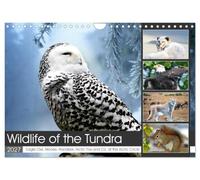 Wildlife of the Tundra (Wall Calendar 2027 DIN A4 landscape), CALVENDO 12 Month Wall Calendar: Impressive animals in the treeless steppes of the northern hemisphere.