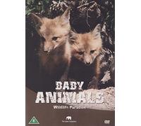 Wildlife Paradise - Baby Animals [DVD] [Reino Unido]