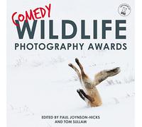 Wildlife. Photography Of The Year: the hilarious Christmas treat