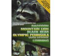 Wildlife - Raccoon / Mountain Lion / Black Bear [DVD] [Reino Unido]