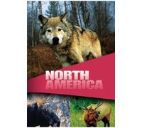Wildlife - Secret Animals Of North America [Reino Unido] [DVD]