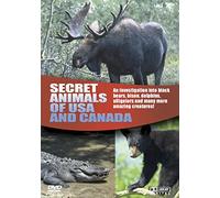 Wildlife - Secret Animals Of USA And Canada [DVD] [Reino Unido]