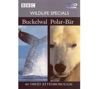 Wildlife Specials - Buckelwal/Polarbär [Alemania] [DVD]
