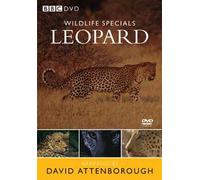 Wildlife Specials: Leopard [Reino Unido] [DVD]