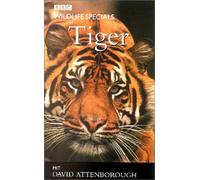 Wildlife Specials - Tiger [Alemania] [VHS]