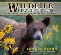 Wildlife Through the Lens: Animal Stories from Montana and the Rocky Mountains