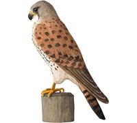 WILDLIFEGARDEN Wildlife Garden WG4470 DecoBird Cernícalo - Pájaro decorativo tallado a mano de madera - Grandes pájaros europeos