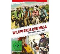 Wildpferde der Mesa (1925) - in kolorierter Fassung [Alemania] [DVD]