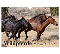 Wildpferde. Frei wie der Wind (Wandkalender 2026 DIN A4 quer), CALVENDO Monatskalender: Die grenzenlose Freiheit der Wildpferde in Amerika