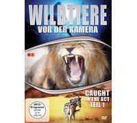 Wildtiere vor der Kamera - Caught in the Act Teil 1 [Alemania] [DVD]