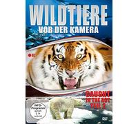 Wildtiere vor der Kamera - Caught in the Act (Teil 2) [DVD] [Alemania]