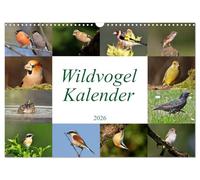 Wildvogelkalender (Wandkalender 2026 DIN A3 quer), CALVENDO Monatskalender: Das ideale Geschenk für Vogelliebhaber