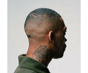 Wiley - 100 % Publishing (Limited Edition) (2 LP)