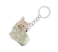 Wilgure Caja de almacenamiento de pelo transparente para perros, resistente al agua, cadenas de recuerdo para los dueños de mascotas, para obtener un costo de almacenamiento de plástico para mascotas