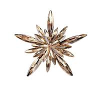 Wilitto Broche de estrella irregular para boda, accesorios de joyería ligeros, aleación, Piedra secundaria