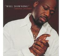Will Downing - Sensual Journey