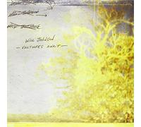 Will Johnson - Vultures Await