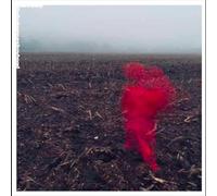 WILL VARLEY - THE HOLE AROUND MY HEAD (Transparent clear) [Vinilo]