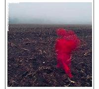 WILL VARLEY - THE HOLE AROUND MY HEAD [Vinilo]