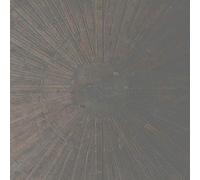 William Basinski + Lawrence English - Selva Oscura [VINYL] [Vinilo]