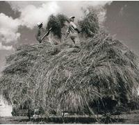 WILLIAM ELLIOT WHITMORE-FIELD SONGS -DIG-