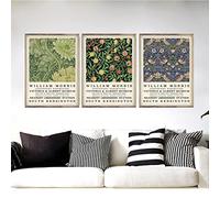 William Morris Canvas Print The Victoria and Albert Museum Exposición Poster London Underground Art Painting Wall Decor 30x40cm-3Pcs Sin marco