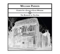 William Parker - Flower in a Stained-Glass Window