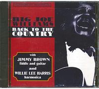 Big Joe Williams - Back to the Country
