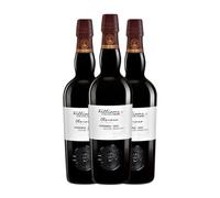 Williams & Humbert Colección de Añadas Oloroso en Rama Palomino Fino Jerez-Xérès-Sherry Botella Medium 50 cl Vino generoso (Caja de 3 Botella Medium de 50 cl)