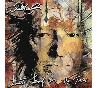 Willie Nelson - Last Leaf On The Tree [CD]