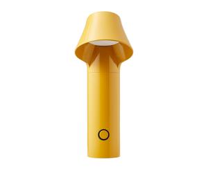 Willow Amarillo Desierto