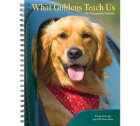 Willow Creek Press, Agenda de compromiso What Goldens Teach Us 2027 de 6.5 x 8.5 pulgadas