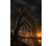 Willow’s Journey Home: Woven in the Tapestry of Grace and Redemption