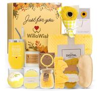 WilloWish Sending Sunshine - Caja de regalo para mujer, 15 cestas de regalo Sunshine para mujer, cestas de regalo Get Well Soon, una caja de regalos de sol para mujeres, cesta de regalo pensando en ti