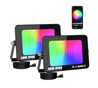 Willpower 2PCS Foco LED RGBW 30W, Proyector LED Exterior con Control de Bluetooth APP, 16 Colores 4 modos, Luz de Inundación RGB para Jardín Terraza Fiestas Halloween Navidad, con Enchufe