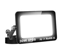 Willpower Proyector LED Focos LED Exterior 30W Luz 6,000K Blanco | 3,000LM, con Enchufe, IP66 Impermeable, Iluminación para Garaje Patio Jardín Terraza Parque Trabajo