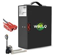 WILLQ Batería Carretilla elevadora eléctrica 48V 10,4Ah 15,6Ah 18Ah batería de Litio extraíble Repuesto para camión Carga y Descarga logística almacén, Piezas para Camiones,48v15.6ah