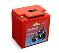 WILLQ Batería de Arranque para Motocicleta YTX20L-BS YTX30L-BS, 12 V, 20 Ah, 30 Ah, Recargable Repuesto para vehículos Todoterreno y Scooters.,Ytx30l BS