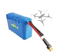 WILLQ Batería de Litio 6S 22,2 V 10C para aeromodelismo, 8000 mAh, 12 000 mAh, 15 000 mAh, batería de Respaldo para Drones FPV/fotografía aérea, Repuesto.,22.2v 15000mah 6s3p